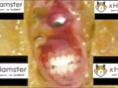 आमाहरु अश्लील गोरा निकोल मा बस््छ एक विशाल डिक एक मित्र को