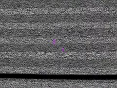 अश्लील भिडियो मानिस सरोष गडबड सौन्दर्य